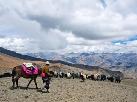Nepal Allows Solo Trekkers in Restricted Areas (New 2026 Rules)