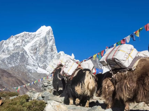Dingboche: The Smart Stop for Acclimatization and Stunning Views