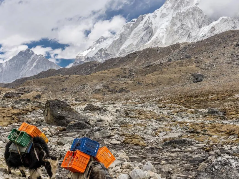 Traversing the Heart of Solu: Jiri to Sete, Junbesi & Nunthala via the Lamjura-La Pass