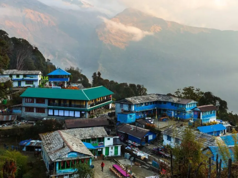 Tadapani Diaries: One Magical Night in the Mountains