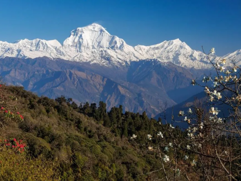 Trekking the Best of Annapurna: Poon Hill to Mardi Himal