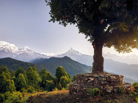 High Camp on the Mardi Himal Trek | Views, Altitude & Trekking Guide