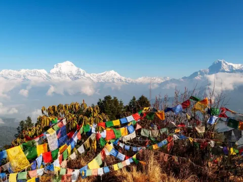 Exploring the Ghorepani Dhampus Circuit Trek in Nepal