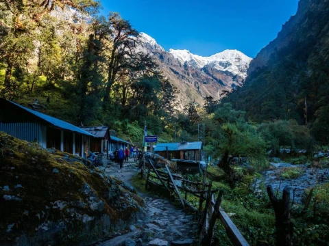 Walking with Nature: Wildlife and an Overnight Stay at Lama Hotel