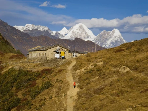 A Peaceful Stop at Tharepati: Hidden Gem of Langtang