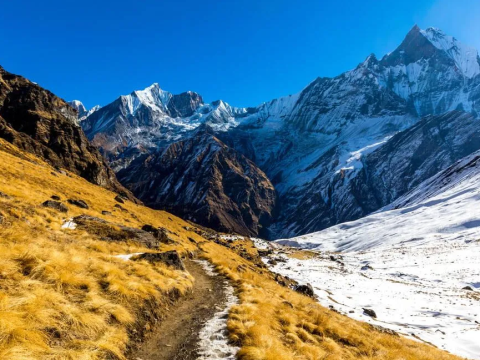 Annapurna Base Camp (ABC) & Machhapuchhre Base Camp (MBC) Trek: Two Base Camps, One Incredible Journey