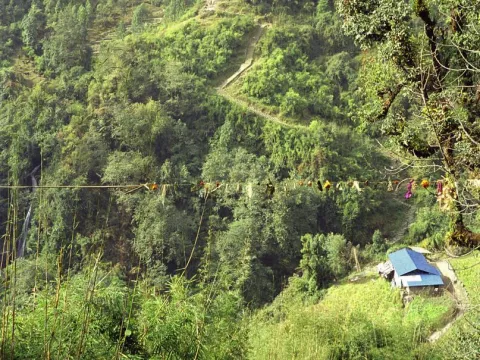 Dovan Nepal: Peaceful Stopover on the Annapurna Base Camp Trail