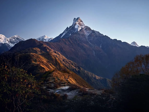 Forest Camp Adventures: Exploring the Mardi Himal Trek in Nepal