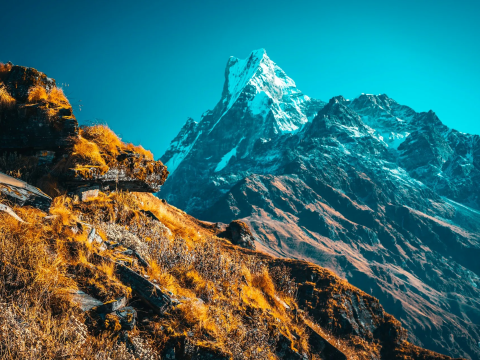 A Beginner’s Guide to the Mardi Himal Trek in Nepal