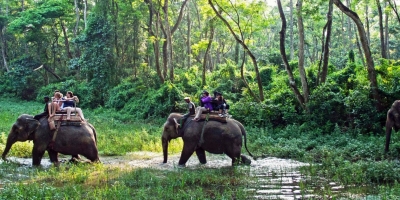 Chitwan National Park Tour in Nepal