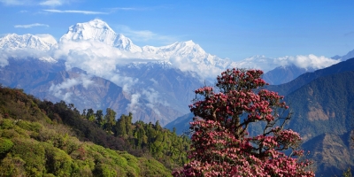 Dhaulagiri Circuit Trekking
