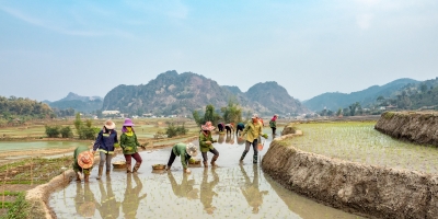 Rice Planting (Ropain) Festival Trip