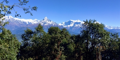 Panchase Trekking