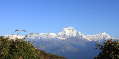 Panchase-Mohare and Ghorepani Dhampus Trekking