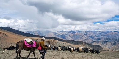 Upper Dolpa Trekking
